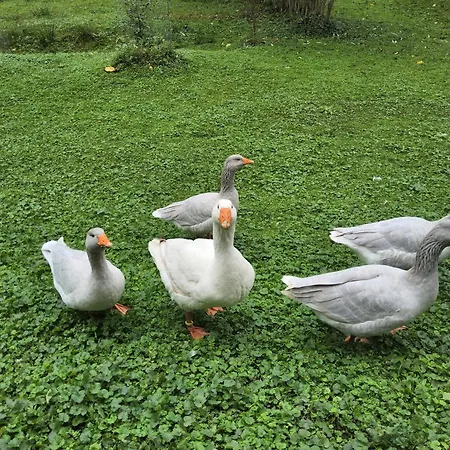 Apartamento Am Neetzetal *