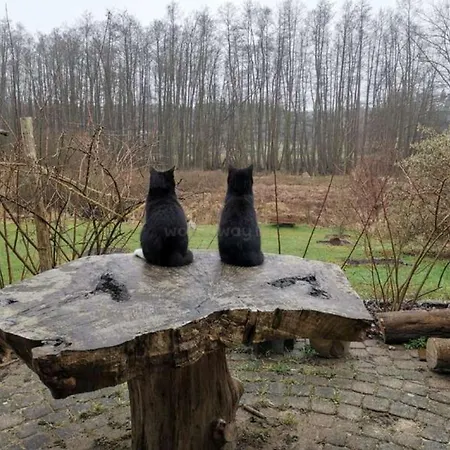 Am Neetzetal Thomasburg