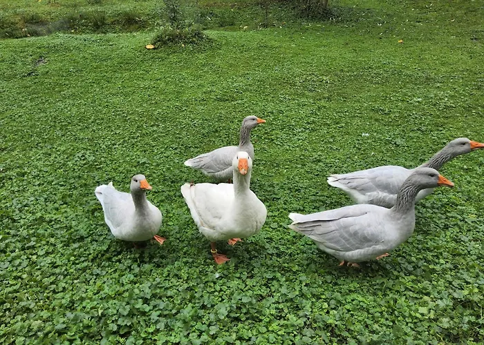 Апартаменты Am Neetzetal *