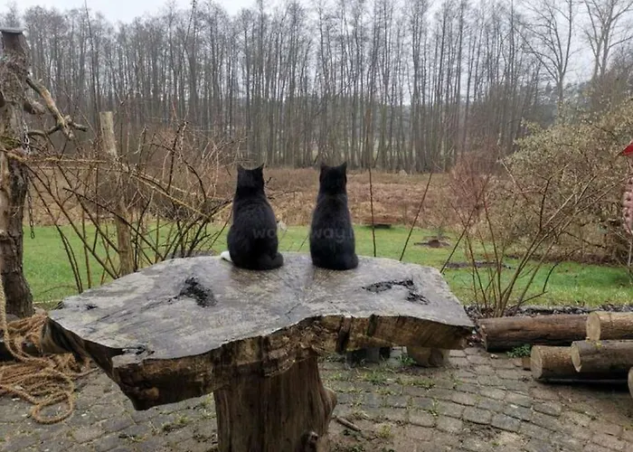 Am Neetzetal Thomasburg